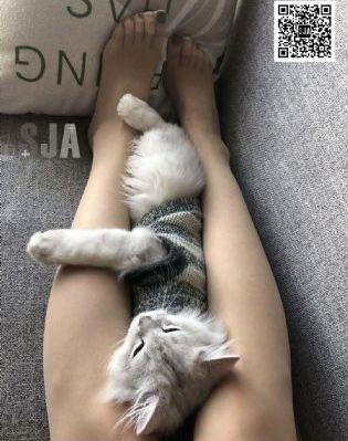 国产精品偷伦视频免费观看了软件_1080P在线观看完整版
