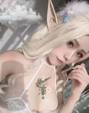 欧美性极品少妇精品网站_DVD在线观看高清